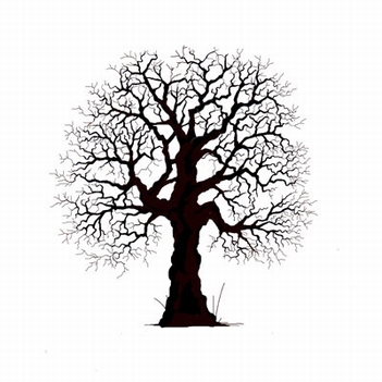 Lavinia Clear Stamp Oak Tree LAV186