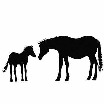 Lavinia Clear Stamp Horse and Foal LAV006
