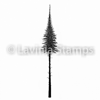 Lavinia Clear Stamp Fairy Fir Tree LAV478