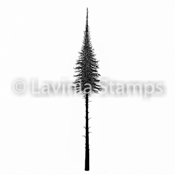 Lavinia Clear Stamp Fairy Fir Tree (Small) LAV489