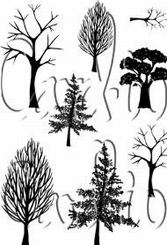 Card-io Clear Stamp Woodland Walks CCSTWOO-01