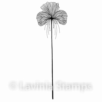 Lavinia Clear Stamp Single Fairy Orchid LAV548