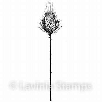 Lavinia Clear Stamp Star Burst LAV544