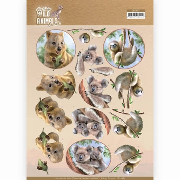 Amy Design knipvel Wild Animals Outback Koala CD11485