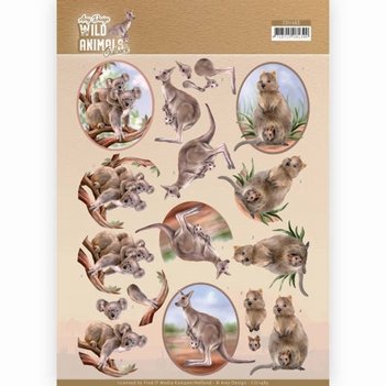 Amy Design knipvel Wild Animals Outback Kangaroo CD11483