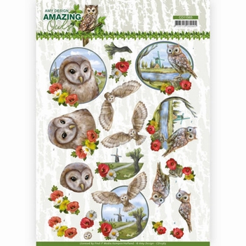 Amy Design knipvel Amazing Owls - Meadow Owls CD11565