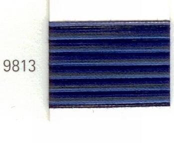 Mettler Borduurgaren Silk Finish Multi kleurnummer 1075-9813