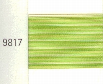 Mettler Borduurgaren Silk Finish Multi kleurnummer 1075-9817