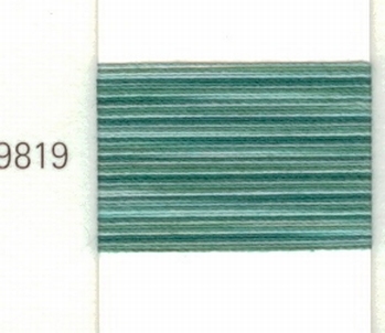 Mettler Borduurgaren Silk Finish Multi kleurnummer 1075-9819