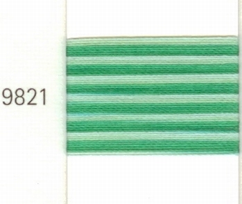 Mettler Borduurgaren Silk Finish Multi kleurnummer 1075-9821