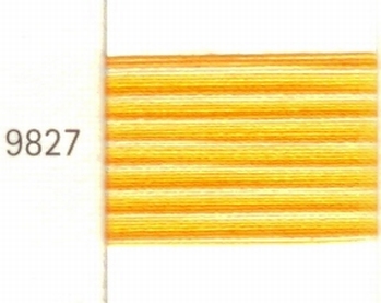 Mettler Borduurgaren Silk Finish Multi kleurnummer 1075-9827