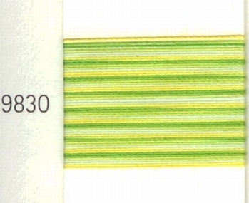 Mettler Borduurgaren Silk Finish Multi kleurnummer 1075-9830