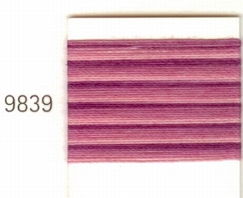 Mettler Borduurgaren Silk Finish Multi kleurnummer 1075-9839