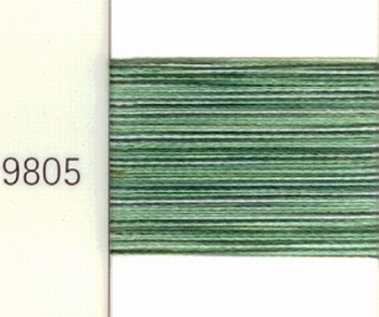 Mettler Borduurgaren Poly Sheen Multi kleurnummer 4820-9805