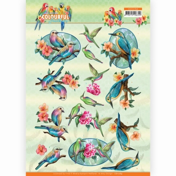 Amy Design knipvel Colourful Feathers - Hummingbird CD11764
