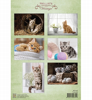 Nellie Snellen knipvel Pussycats NEVI102