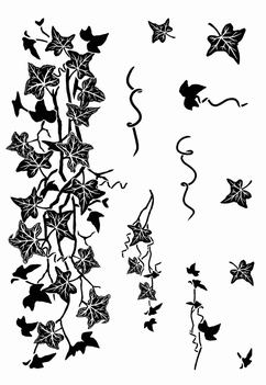 Card-io Clear Stamp Ivy Trails CCSTIVY-01