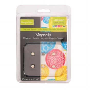 Vaessen Magneetjes Super Strong 6mm  1617-123