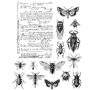 Stampers Anonymous Cling Stamp Entomology CMS328