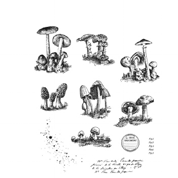 Stampers Anonymous Cling Stamp Tiny Toadstools CMS377