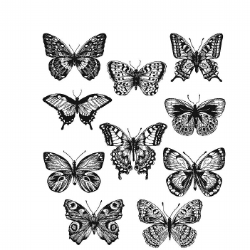 Stampers Anonymous Cling Stamp Flutter CMS294