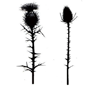 Lavinia Clear Stamp Thistles LAV117