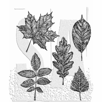 Stampers Anonymous Cling Stamp Sketchy Leaves CMS467