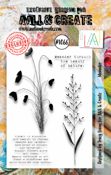 AALL & Create Clear Stamp Meander AALL-TP-1066