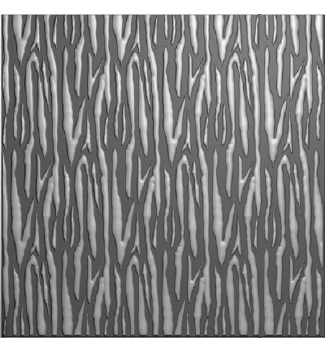 Nellie Snellen 3D Embossing Folder Zebra EF3D080