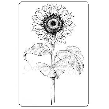 Sweet Poppy Clear Stamp Sunflower SUNFLOWER
