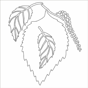 Card-Io Mask Stencil Birch Leaf CDSTBI-01