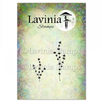 Lavinia Clear Stamp Thyme LAV952