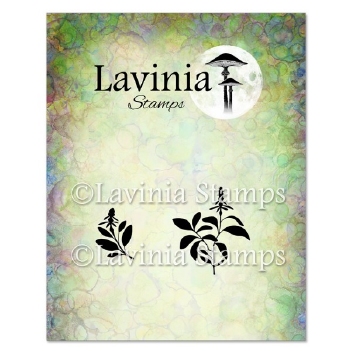 Lavinia Clear Stamp Sage LAV949