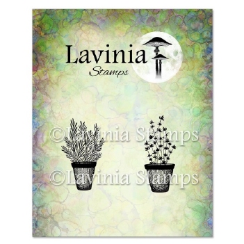Lavinia Clear Stamp Rosemary & Thyme Pots LAV948