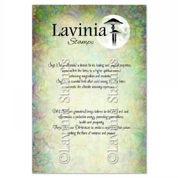 Lavinia Clear Stamp Dill & Sage Words LAV940