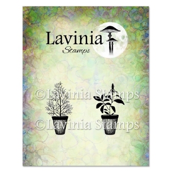 Lavinia Clear Stamp Dill & Sage Pots LAV939