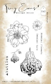 Tracy Evans Clear Stamp Abutilon TE007