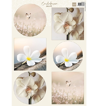 Marianne Design Knipvel Condoleance Orchid VK9624