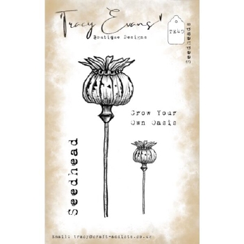 Tracy Evans Clear Stamp Seedheads TE040