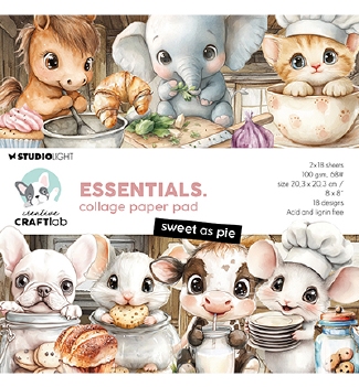 Studio Light Collage Paper Pad Sweet as Pie CCL-ES-CPP382*