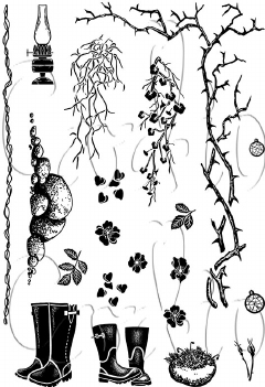 Card-io Clear Stamp Rosy Retreat CCSTROS-01
