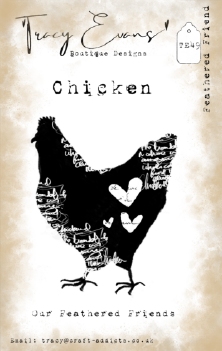 Tracy Evans Clear Stamp Feathered Friend TE049