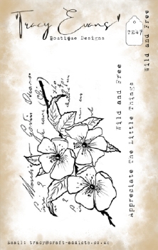 Tracy Evans Clear Stamp Wild and Free TE047