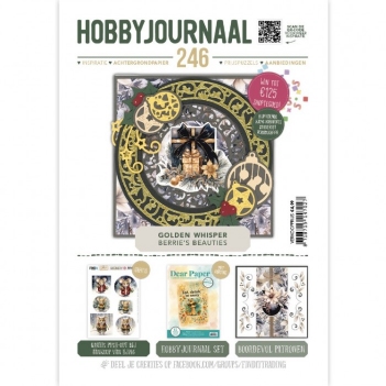 Hobbyjournaal 246   HJ246
