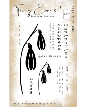 Tracy Evans Clear Stamp One of a Kind TE054