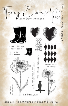 Tracy Evans Clear Stamp Create your own Story TE051
