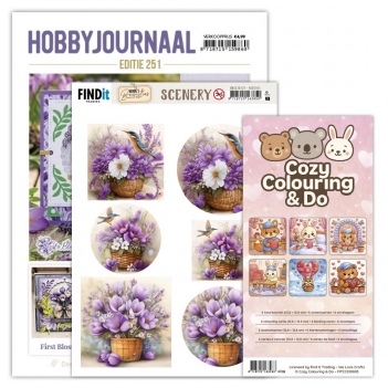 Hobbyjournaal 251 set   SETHJ251