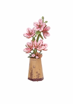 Rowood Wooden Bloom Craft Sakura TW101