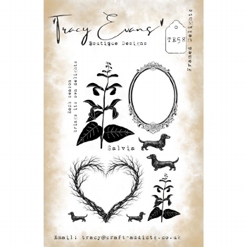 Tracy Evans Clear Stamp Framed Delights TE058