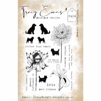 Tracy Evans Clear Stamp Beauty Surrounds Us TE056